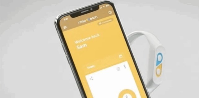 "لراحتك" سوار ذكي يتيح لرئيسك متابعة حالتك النفسية.. هكذا يعمل 1 fb10ae019ff83e6642fc504408337bf3