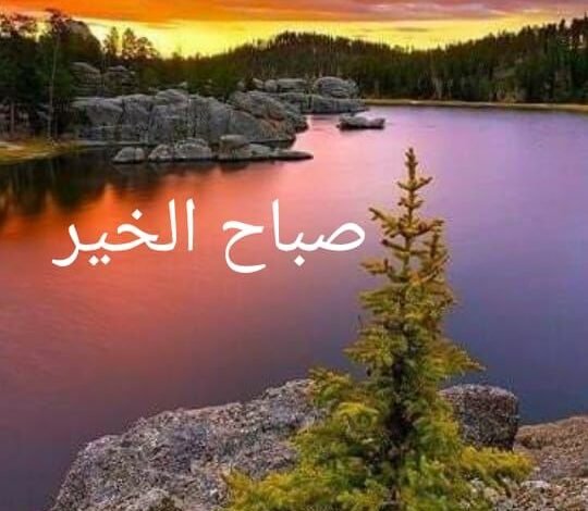 هيدا لبنان 1 1b116ef0ad4be846ab840ce64c03750e