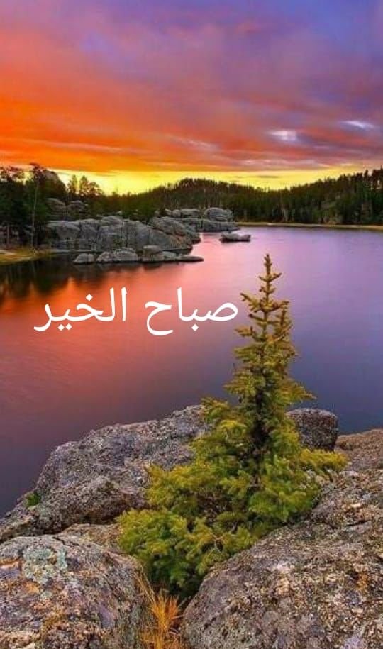 هيدا لبنان 3 1b116ef0ad4be846ab840ce64c03750e