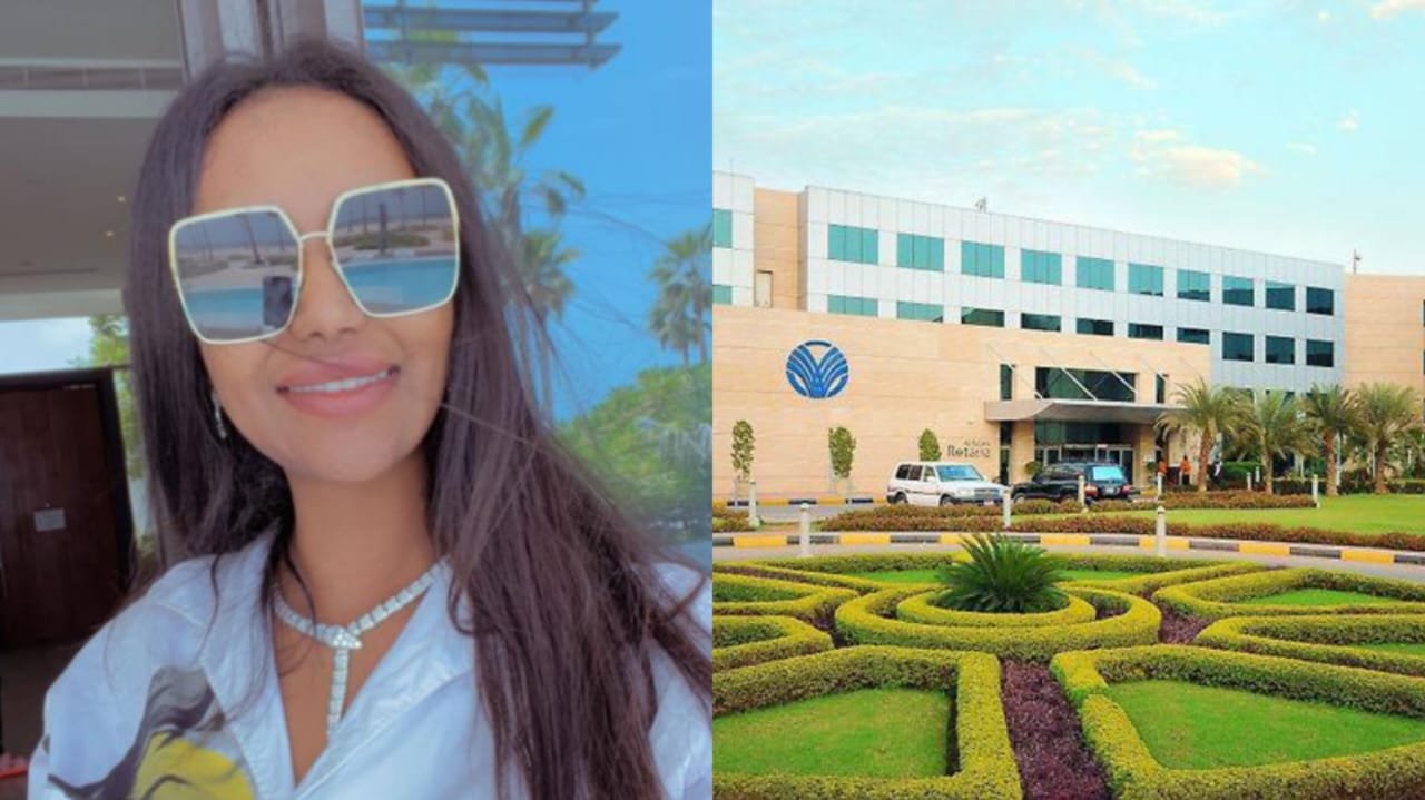 سيدة الأعمال Asia Ibrahim تشتري أكبر واشهر فنادق السودان... فندق السلام روتانا الخرطوم 3 16726765867698187f46