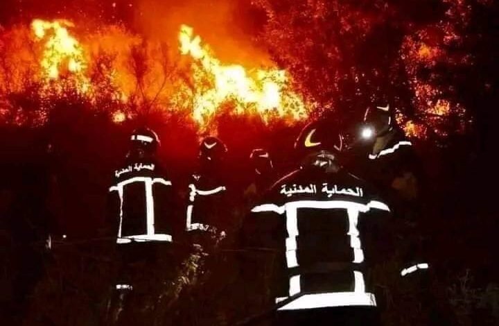 الحرائق في الجزائر تودي بحياة 34 شخصاً 1 1690268270200a9a3320