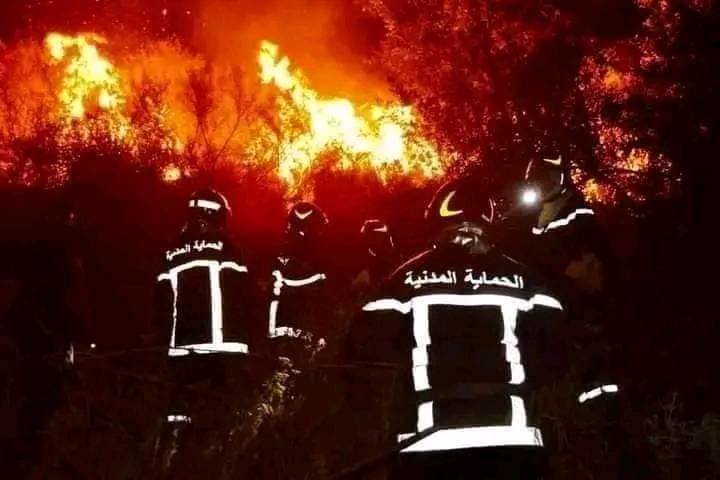 الحرائق في الجزائر تودي بحياة 34 شخصاً 3 1690268270200a9a3320