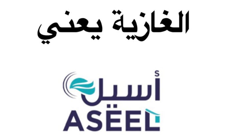 شركة "أسيل" تكتسح سوق المواد الغذائية في الغازية 1 1715180270e046840aed