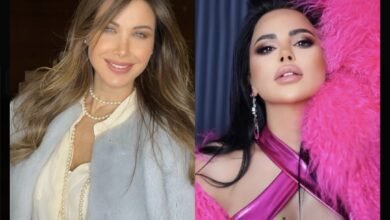 صورة توضيحية - جدل عبر مواقع التواصل حول تشابه مشاهد بين كليبي نانسي عجرم وليال عبود