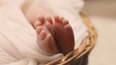 ذكر أم أنثى؟.. دراسة تنسف الاعتقاد الشائع حول جنس المولود 1 صورة توضيحية - ذكر أم أنثى؟.. دراسة تنسف الاعتقاد الشائع حول جنس المولود