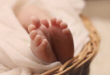 ذكر أم أنثى؟.. دراسة تنسف الاعتقاد الشائع حول جنس المولود