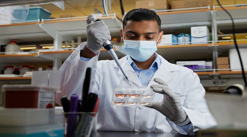 إيران تُنتج محلولاً حيوياً لفصل الخلايا الجذعية محلياً 3 إيران تُنتج محلولاً حيوياً لفصل الخلايا الجذعية محلياً