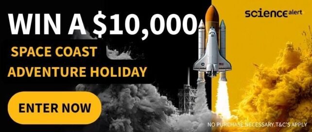1760641570 571 Mid Article Promo Launch