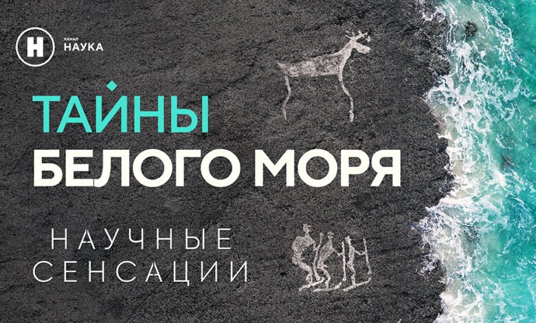 558 مليون سنة من التاريخ: قناة العلوم تكشف أسرار البحر الأبيض 1 558 مليون سنة من التاريخ: قناة العلوم تكشف أسرار البحر الأبيض