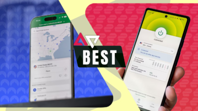 8 options our experts recommend