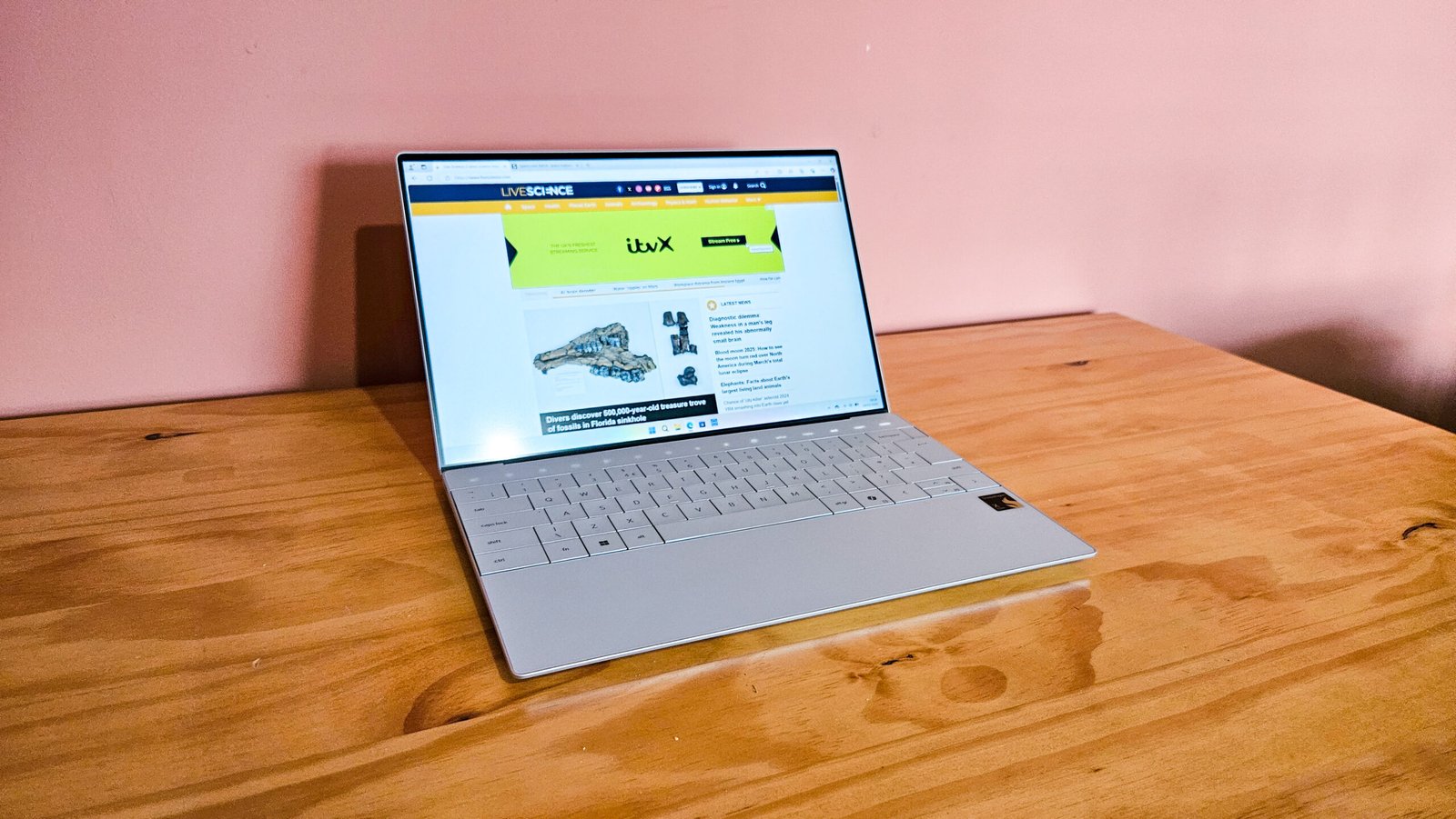 8SEifdPhyNoUjUf8Hgq3xG scaled