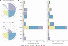 A circular economy approach for the global lithium-ion battery supply chain