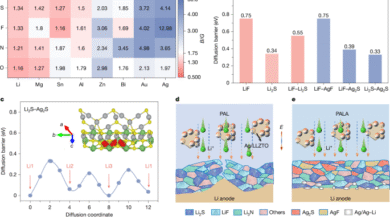 A ductile solid electrolyte interphase for solid