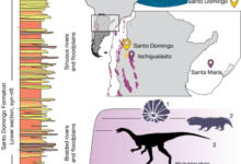 A long-necked early dinosaur from a newly discovered Upper Triassic basin in the Andes