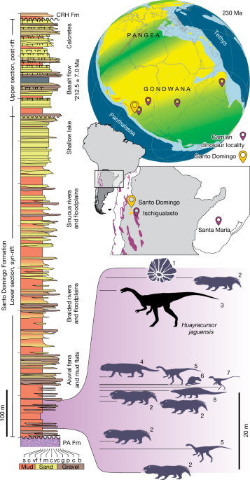 A long-necked early dinosaur from a newly discovered Upper Triassic basin in the Andes