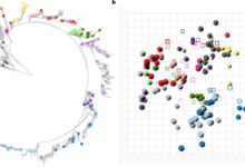 A vaccine central in A(H5) influenza antigenic space confers broad immunity