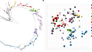 A vaccine central in A(H5) influenza antigenic space confers broad immunity