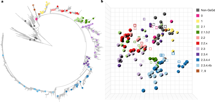A vaccine central in A(H5) influenza antigenic space confers broad immunity 1 A vaccine central in A(H5) influenza antigenic space confers broad immunity