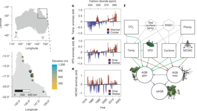 Aboveground biomass in Australian tropical forests now a net carbon source