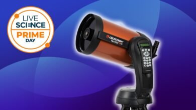 Celestron NexStar 8SE الأرخص منذ يناير لـ Prime Day