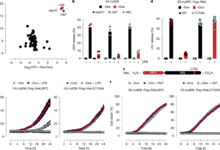 Enteropathogenic bacteria evade ROCK-driven epithelial cell extrusion