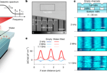 In-plane dielectric constant and conductivity of confined water
