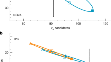 Joint neutrino oscillation analysis from the T2K and NOvA experiments