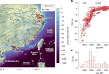 Modern sea-level rise breaks 4,000-year stability in southeastern China