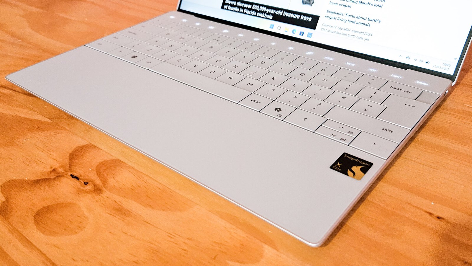 NLjtaafbBqeGL7nCGjANhG scaled