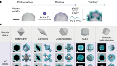 Patchy nanoparticles by atomic stencilling