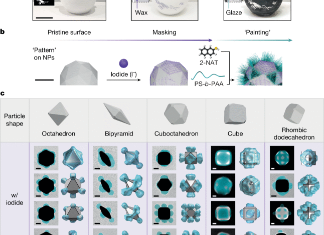 Patchy nanoparticles by atomic stencilling 1 Patchy nanoparticles by atomic stencilling