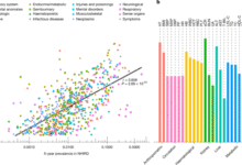 Population-specific polygenic risk scores for people of Han Chinese ancestry