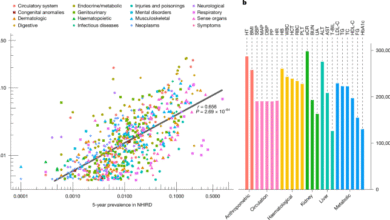 Population-specific polygenic risk scores for people of Han Chinese ancestry