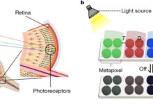 Video‐rate tunable colour electronic paper with human resolution