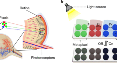 Video‐rate tunable colour electronic paper with human resolution