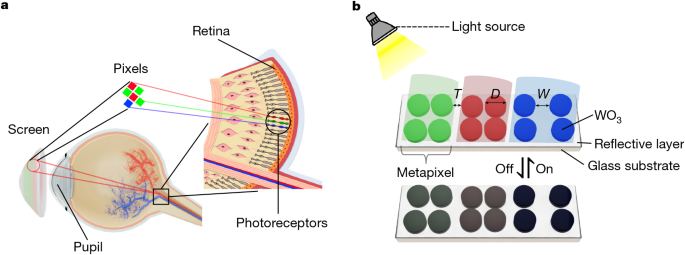 Video‐rate tunable colour electronic paper with human resolution 1 Video‐rate tunable colour electronic paper with human resolution