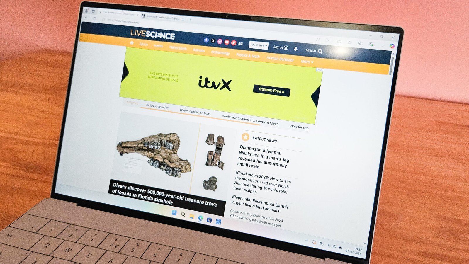 bHVDXbfeLoT5Qv6nRFhJxG scaled