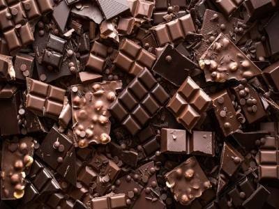 تتميز قهوة "براز القطط" الفاخرة هذه بنكهة فريدة: ما الذي يكمن وراءها؟ 3 d41586 025 03467 w 51380428
