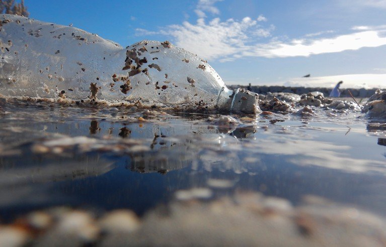 العناصر الأساسية المفقودة من محادثات معاهدة البلاستيك 2 d41586 025 03469 8 51627968