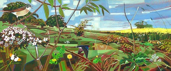 d41586 025 03483 w 51609300