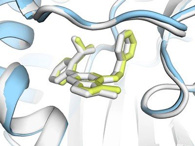 d41586 025 03546 y 51529742