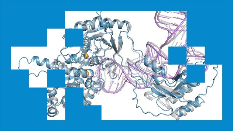 d41586 025 03546 y 51628696