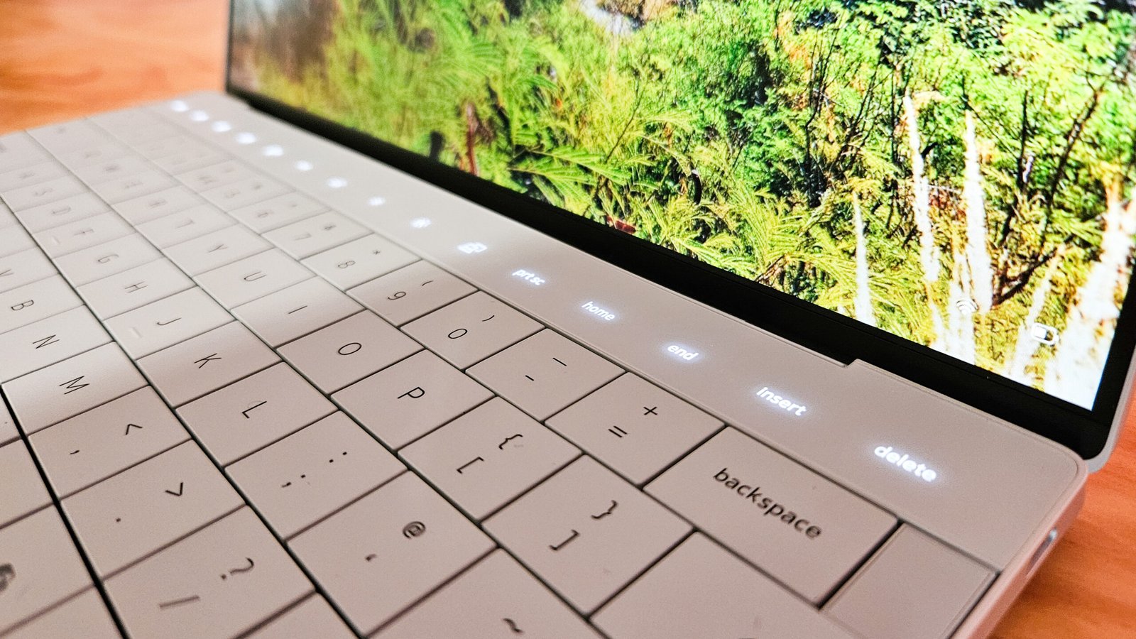 wQvuBnDabYBBGvWEkfEouG scaled