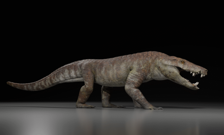 آكلة لحوم مفرطة عمرها 70 مليون عام أكلت ديناصورات تحمل اسم الإله المصري 1 A life reconstruction of Kostensuchus atrox against a black background.