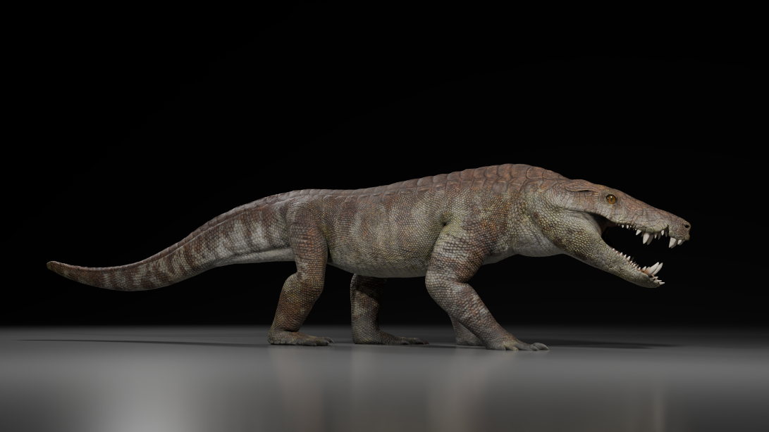 آكلة لحوم مفرطة عمرها 70 مليون عام أكلت ديناصورات تحمل اسم الإله المصري 3 A life reconstruction of Kostensuchus atrox against a black background.