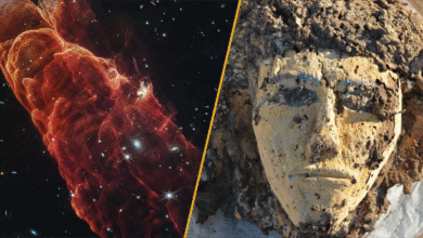 Split image of a &quot;cosmic tornado&quot; and a face depiction from a wooden coffin in Tombos.