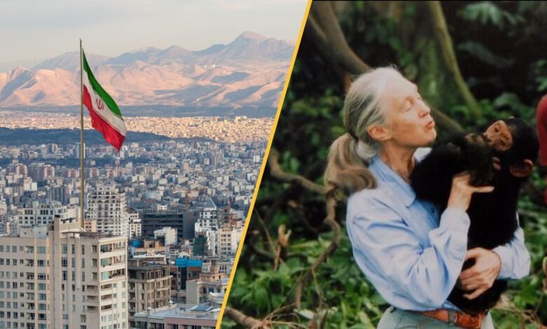 أخبار العلوم هذا الأسبوع: وفاة عالمة الرئيسيات الشهيرة جين غودال، وتغرق إيران بمعدل ينذر بالخطر، وينتج العلماء خلايا بويضات بشرية من الجلد 1 Tehran and Jane Goodall