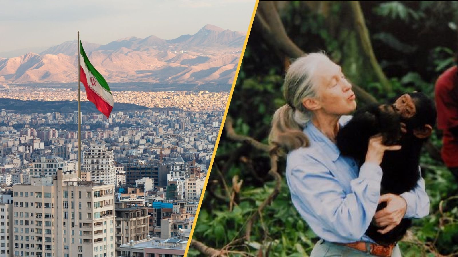 أخبار العلوم هذا الأسبوع: وفاة عالمة الرئيسيات الشهيرة جين غودال، وتغرق إيران بمعدل ينذر بالخطر، وينتج العلماء خلايا بويضات بشرية من الجلد 9 Tehran and Jane Goodall