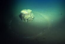 an underwater photo of a barrel on the sea floor