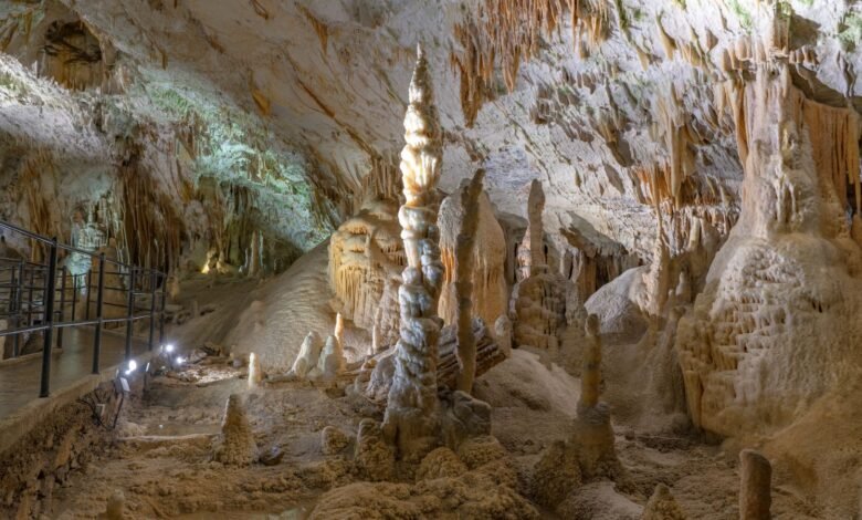 اكتشف العلماء أن الصواعد تلتزم بقاعدة رياضية واحدة 1 The Postojna cave in slovenia with stalagmite structures.